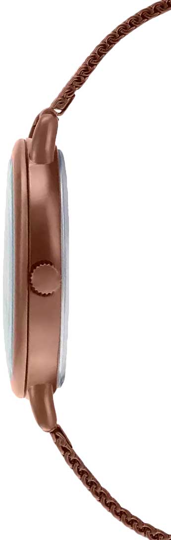 Casio Casio Collection LTP-E415MR-7C, ltp япония женские часы на браслете нержавеющая сталь с ip-покрытием боковой вид