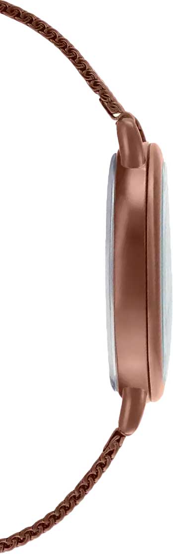 Casio Casio Collection LTP-E415MR-7C , наручные женские часы фото под углом