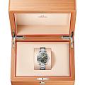 Omega 22010382010003