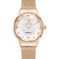Часы Beverly Hills Polo Club BP3768X.430