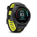 Garmin 010-02810-13