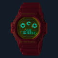 Casio DW-5900TS-4
