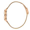 Часы Beverly Hills Polo Club BP3768X.430 фото 3